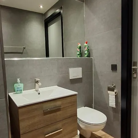 Xxl Vakantiebungalow De Sleedoorn *